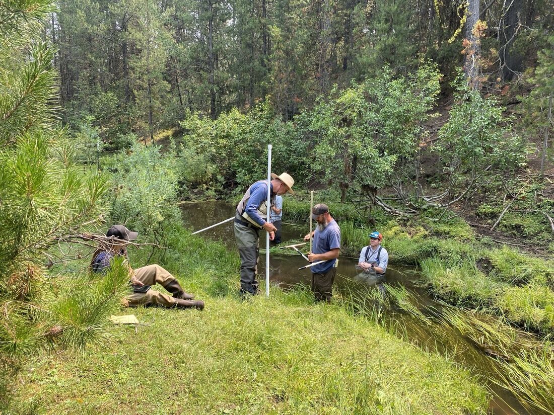 MIMs sampling in Boise, Idaho with the USFS