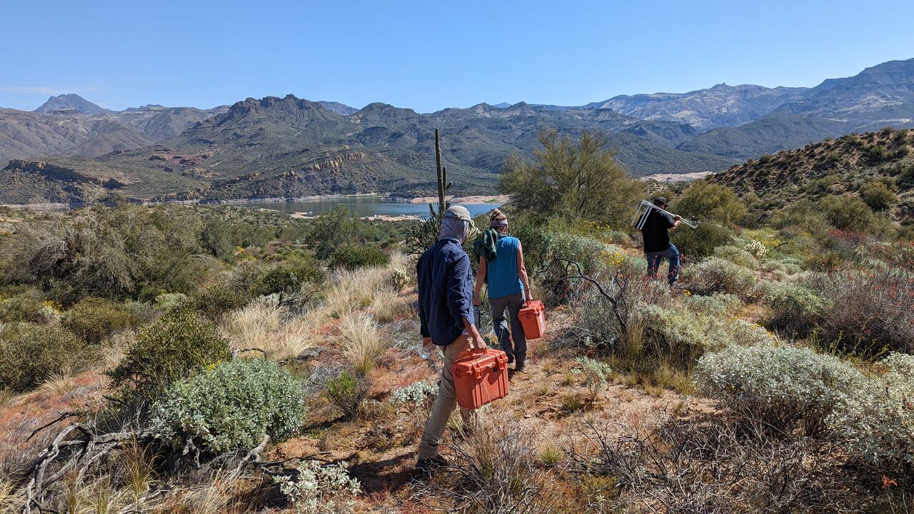 Monitoring rangeland plots for Tonto National Forest with VGS